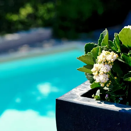 Bed & Breakfast Viavai Casalborgone