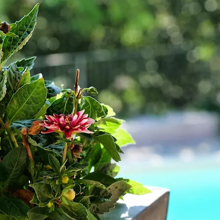 Viavai 4* Casalborgone