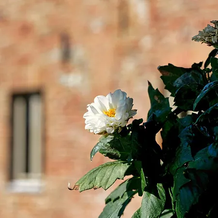 Bed & Breakfast Viavai 4*