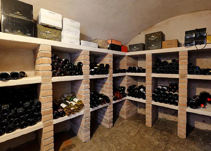 Viavai 4* Casalborgone